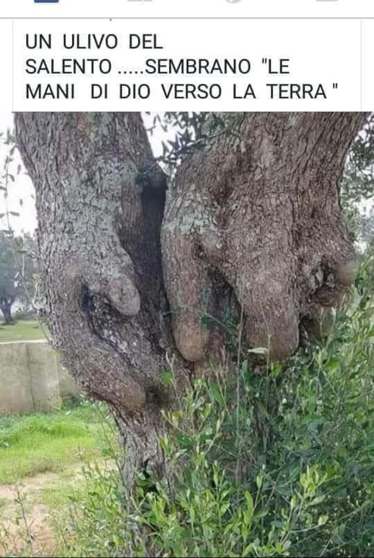 הוילה קונברסאנו Fascino Antico מראה חיצוני תמונה